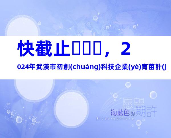 快截止，2024年武漢市初創(chuàng)科技企業(yè)育苗計(jì)劃申報(bào)條件、相關(guān)內(nèi)容
